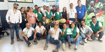 Campesinos de Bolívar transformaron sus cultivos ilícitos