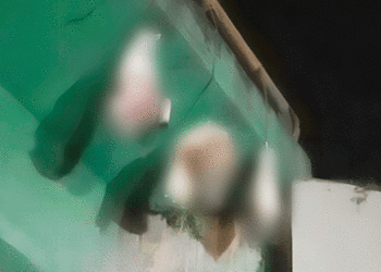 Macabro: Hallan cuerpo sin vida en tres costales bajo puente en Andalucía