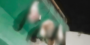 Macabro: Hallan cuerpo sin vida en tres costales bajo puente en Andalucía