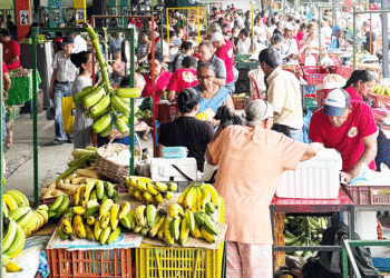 Mercado Campesino celebra 24 años alimentando a los tulueños