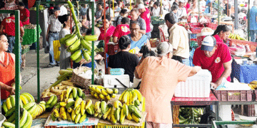 Mercado Campesino celebra 24 años alimentando a los tulueños