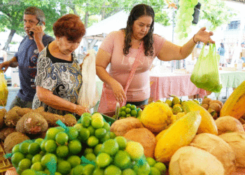 Mercados campesinos se fortalecen en el Valle del Cauca