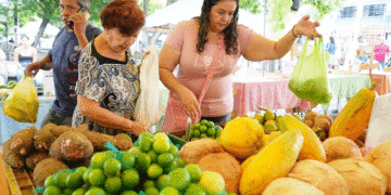 Mercados campesinos se fortalecen en el Valle del Cauca