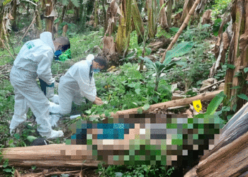 Tres muertos en combates en zona rural de Tuluá tras operaciones militares