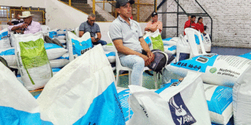 Gobernación del Valle entregó insumos a caficultores del departamento