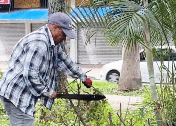 Inician limpieza en la Alameda del Río