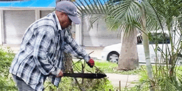 Inician limpieza en la Alameda del Río
