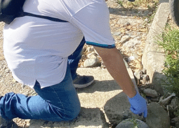 Inició control a roedores en El Retiro; se atendió denuncia de EL TABLOIDE