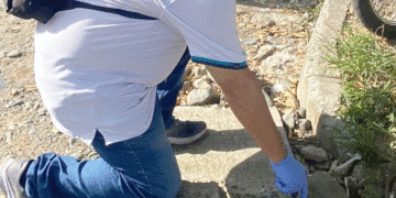 Inició control a roedores en El Retiro; se atendió denuncia de EL TABLOIDE