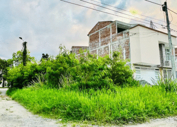 Lotes enmalezados afean un hermoso lugar de Tuluá (Más Caucherazos aquí) 👇🏽 