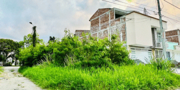 Lotes enmalezados afean un hermoso lugar de Tuluá (Más Caucherazos aquí) 👇🏽 