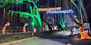 Roldanillo se ilumina: El Pueblo Mágico del Valle encabeza la temporada navideña con su espectacular alumbrado