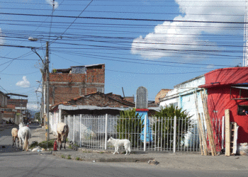 Barrio Farfán: historia, tradición y el sueño de conservar su última cancha