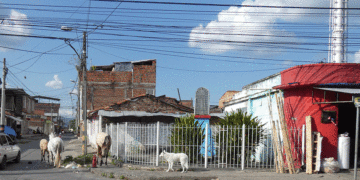 Barrio Farfán: historia, tradición y el sueño de conservar su última cancha