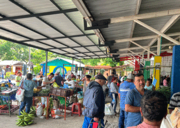 El Mercado Campesino de Tuluá cambia sus días de atención: así quedó organizado