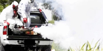 El dengue sigue siendo una amenaza en Colombia