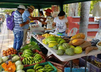 El municipio de Bolívar inicia el año 2025 con éxito en su primera versión del mercado campesino