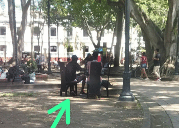 En Buga, el espacio público se transforma: parque central se convierte en comedor al aire libre