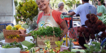 Gobernación lanza Valle Agro 2025 para beneficiar a más de 1.100 productores rurales