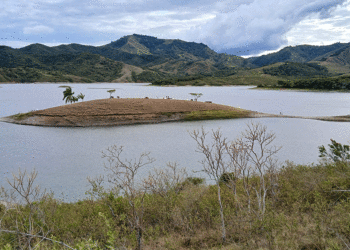 La gráfica, cortesía de Noticias Enfoque Regional, medio digital de Bolívar Valle, muestra un evidente descenso del embalse Sara-BRUT.