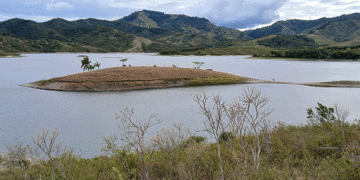 La gráfica, cortesía de Noticias Enfoque Regional, medio digital de Bolívar Valle, muestra un evidente descenso del embalse Sara-BRUT.