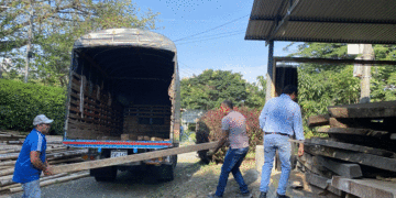 Trujillo recibió madera decomisada por la CVC para restauración de instituciones educativas