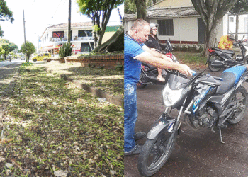 Urge barrido de hojas de árboles para evitar caídas de motociclistas