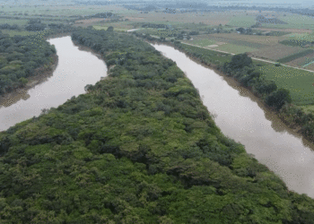 Alerta por aumento del cauce del río Cauca ante intensificación de lluvias