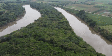 Alerta por aumento del cauce del río Cauca ante intensificación de lluvias