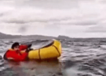 Como en Pinocho: Ballena traga y escupe a navegante en Chile