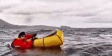 Como en Pinocho: Ballena traga y escupe a navegante en Chile