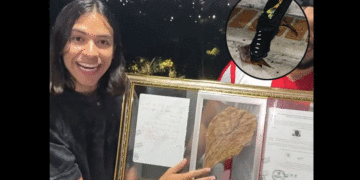 Compran por un millón de pesos la hoja que pisó Shakira en Barranquilla