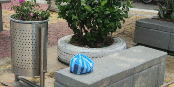 En el barrio La Ceiba de Tuluá, transforman basurero en matera