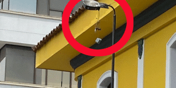 Habitantes de calle vandalizan luminarias en Tuluá