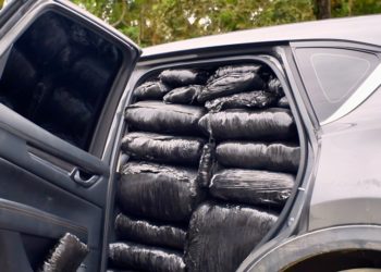 Capturan en Bugalagrande a hombre que transportaba 425 kilos de marihuana