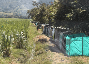 Ocupación de predio en San Pedro sigue creciendo: Campesinos exigen respuesta del Gobierno