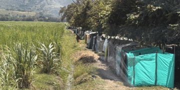 Ocupación de predio en San Pedro sigue creciendo: Campesinos exigen respuesta del Gobierno