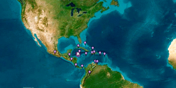 Sismo de magnitud 7.6 sacude el mar Caribe y activa alerta de tsunami; no existe amenaza para Colombia
