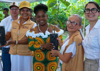 Andalucía se consolida como epicentro del cacao en el Valle del Cauca