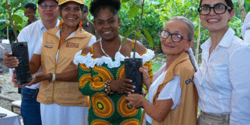Andalucía se consolida como epicentro del cacao en el Valle del Cauca