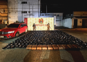 Autoridades incautaron más de una tonelada de marihuana en el Valle del Cauca