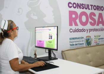 Consultorio Rosa han brindado más de 7.000 atenciones a víctimas de violencia en el Valle