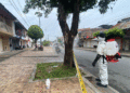 Controlan plaga de chinches en Tuluá