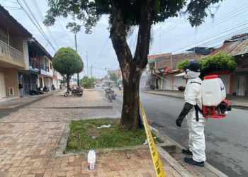 Controlan plaga de chinches en Tuluá