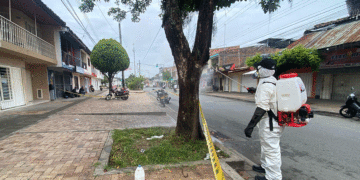 Controlan plaga de chinches en Tuluá