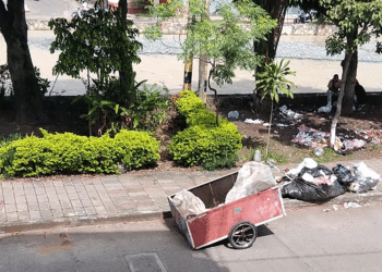 ¿Reciclaje o basurero en la zona aledaña al río Tuluá?  (Más Caucherazos aquí) 👇🏽 