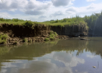 Defensa Civil de La Paila alerta sobre riesgo de inundaciones por deterioro de jarillones
