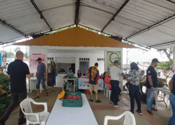 Gran acogida del Mercado Campesino en La Magdalena, Buga
