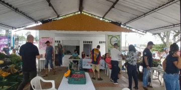Gran acogida del Mercado Campesino en La Magdalena, Buga