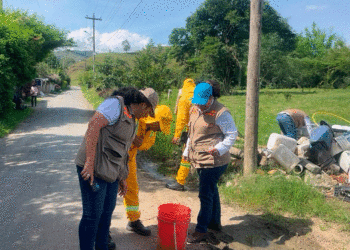 Jornada de erradicación de roedores busca prevenir riesgos sanitarios en Bugalagrande